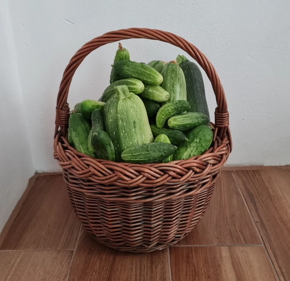 Ogórki i cukinie
