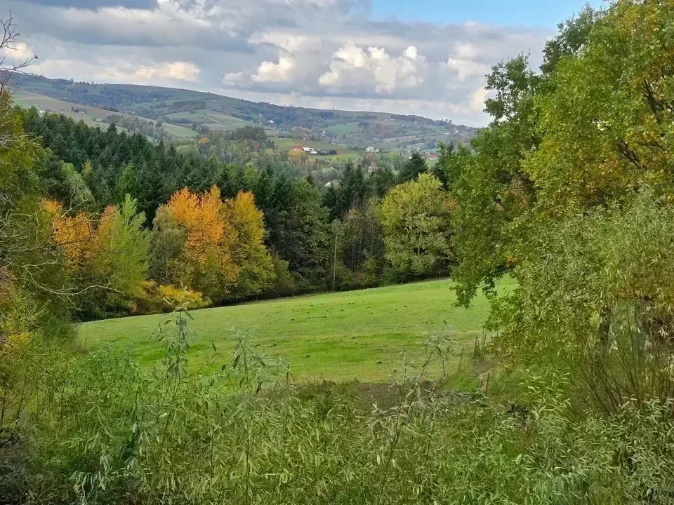 Cztery pory roku na wsi. Czym różnią się od tych w mieście?