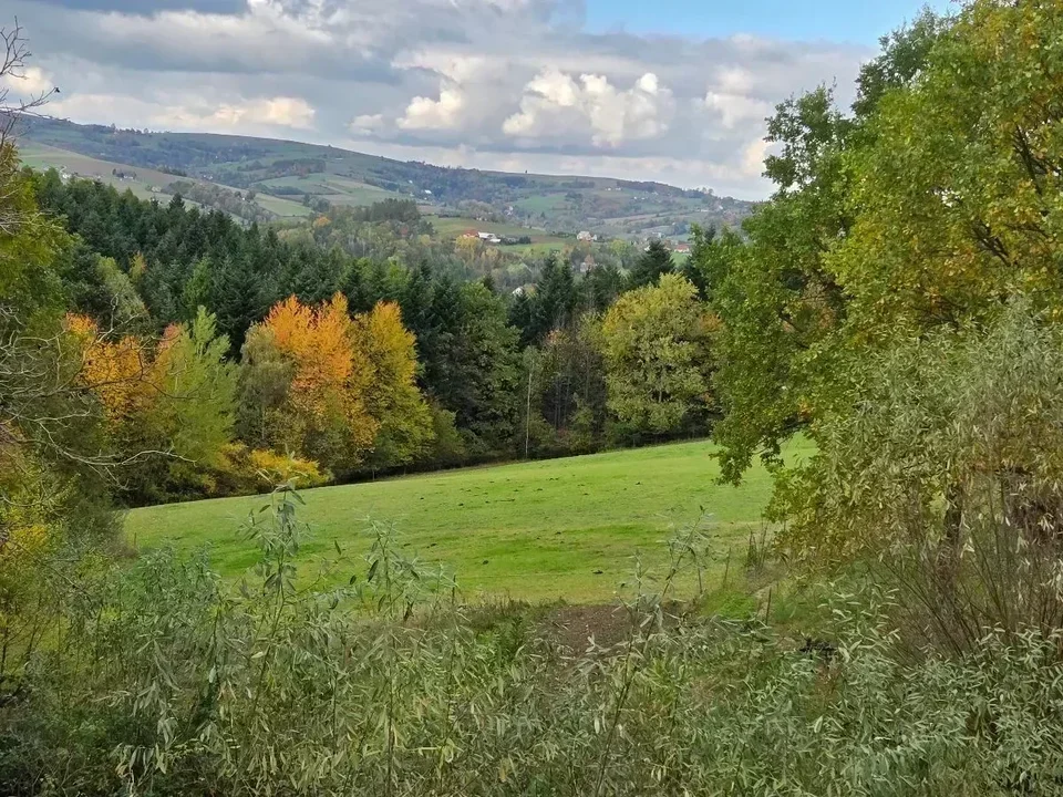 Cztery pory roku na wsi. Czym różnią się od tych w mieście?