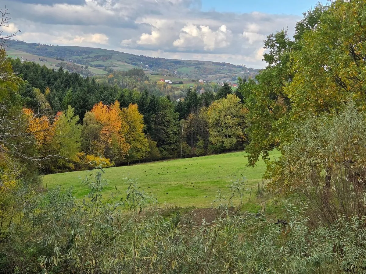 Cztery pory roku na wsi. Czym różnią się od tych w mieście?