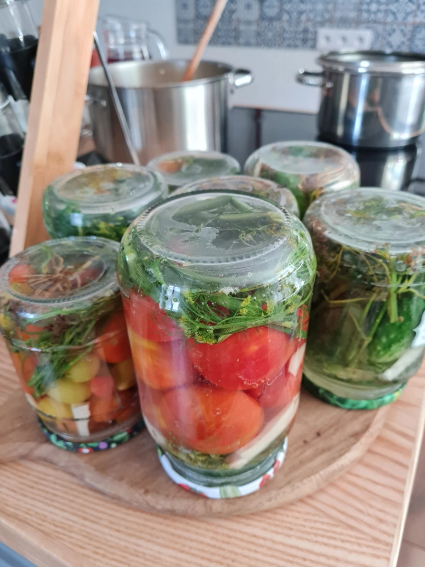 Pomidory - nauka cierpliwości