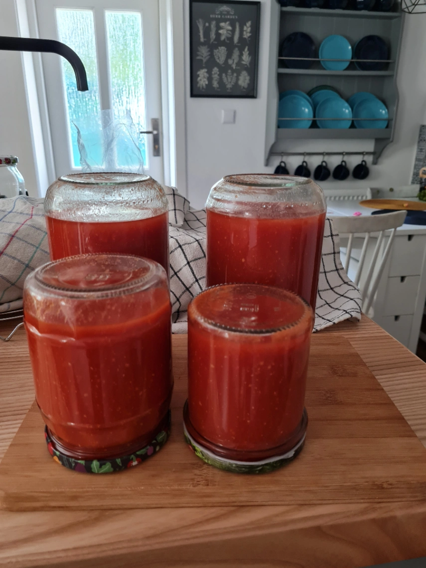 Pomidory - nauka cierpliwości