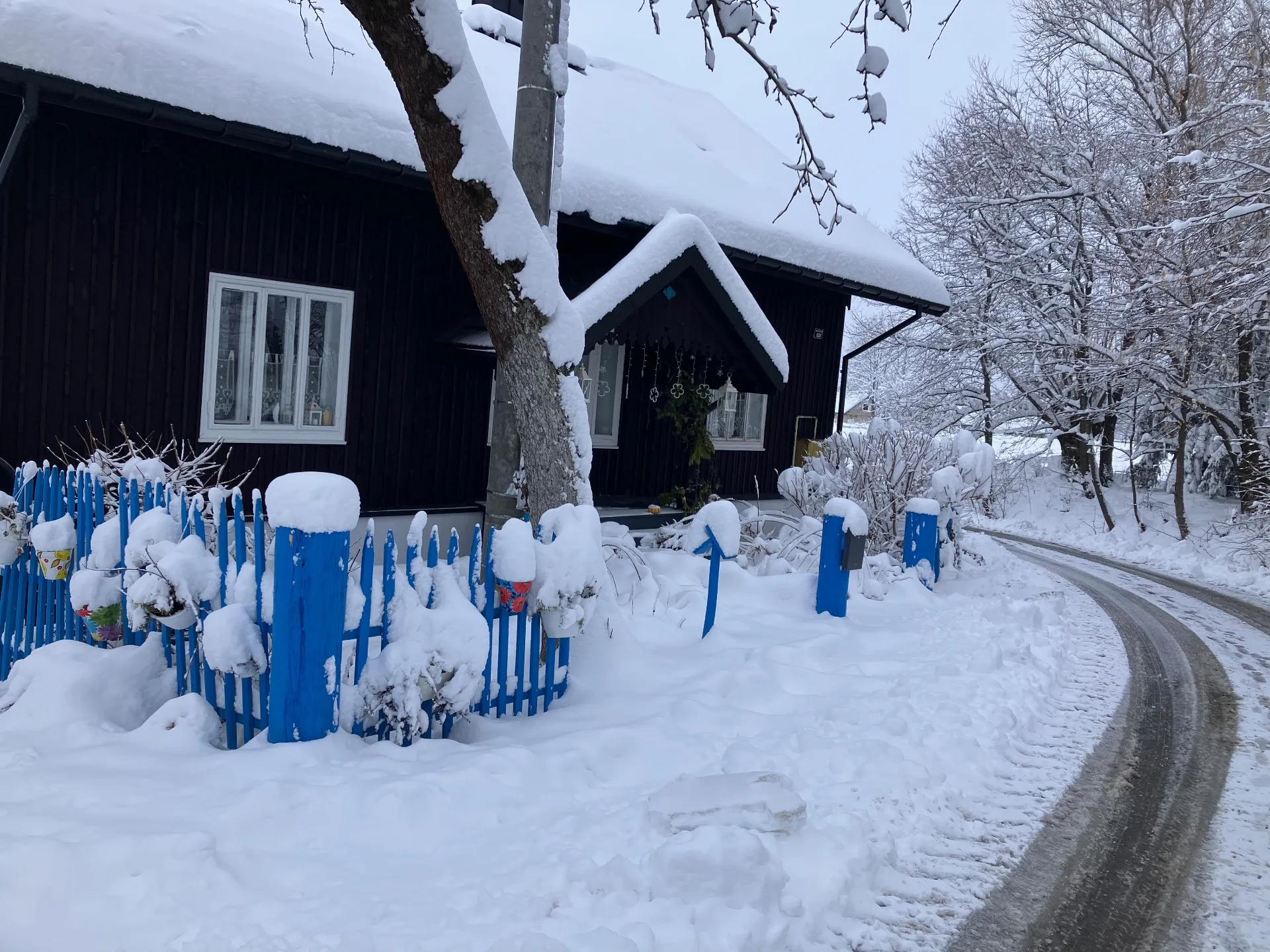 Cztery pory roku na wsi. Czym różnią się od tych w mieście?