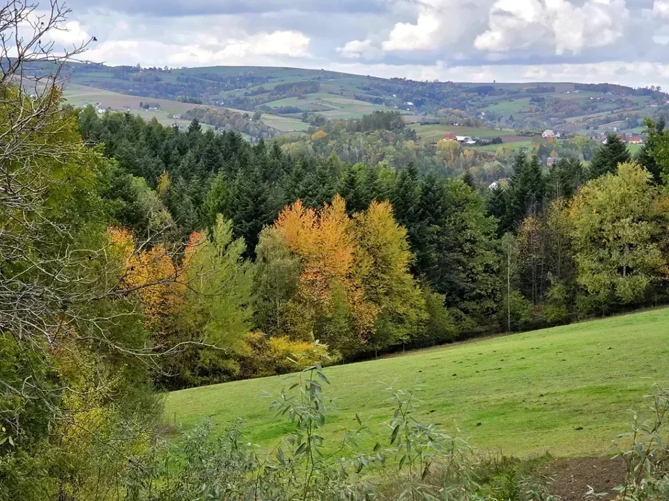 Zacznij tutaj — Windy Farm