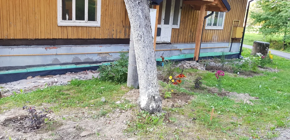 ogródek w trakcie obsadzania