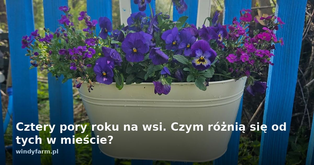 Cztery pory roku na wsi. Czym różnią się od tych w mieście?