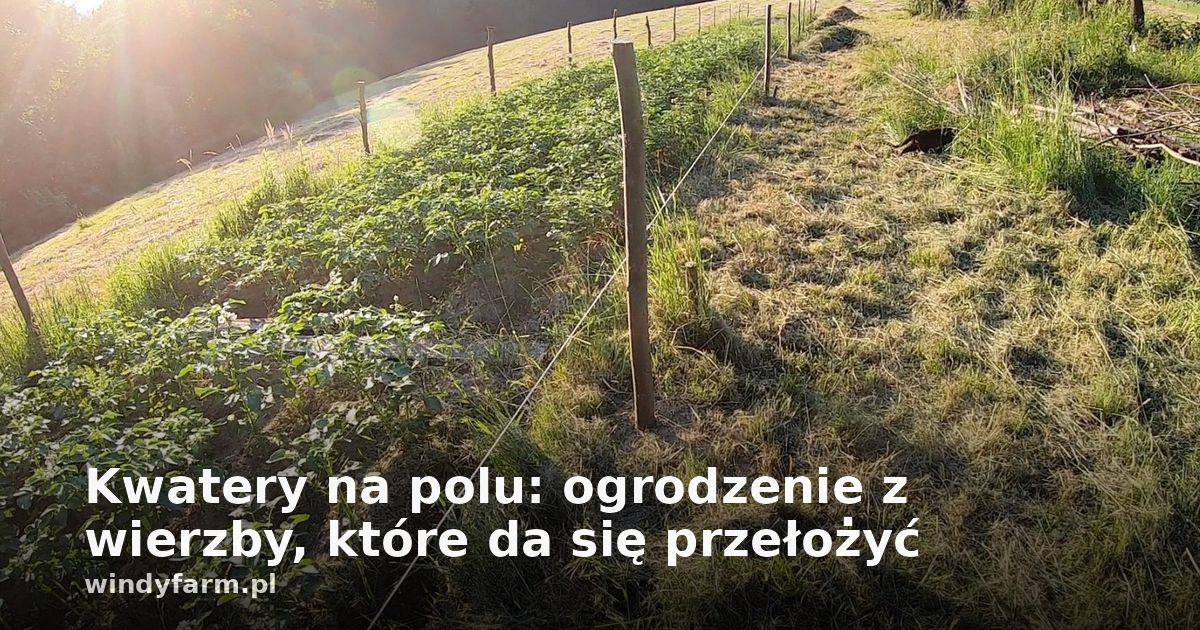 Kwatery na polu: ogrodzenie z wierzby, które da się przełożyć