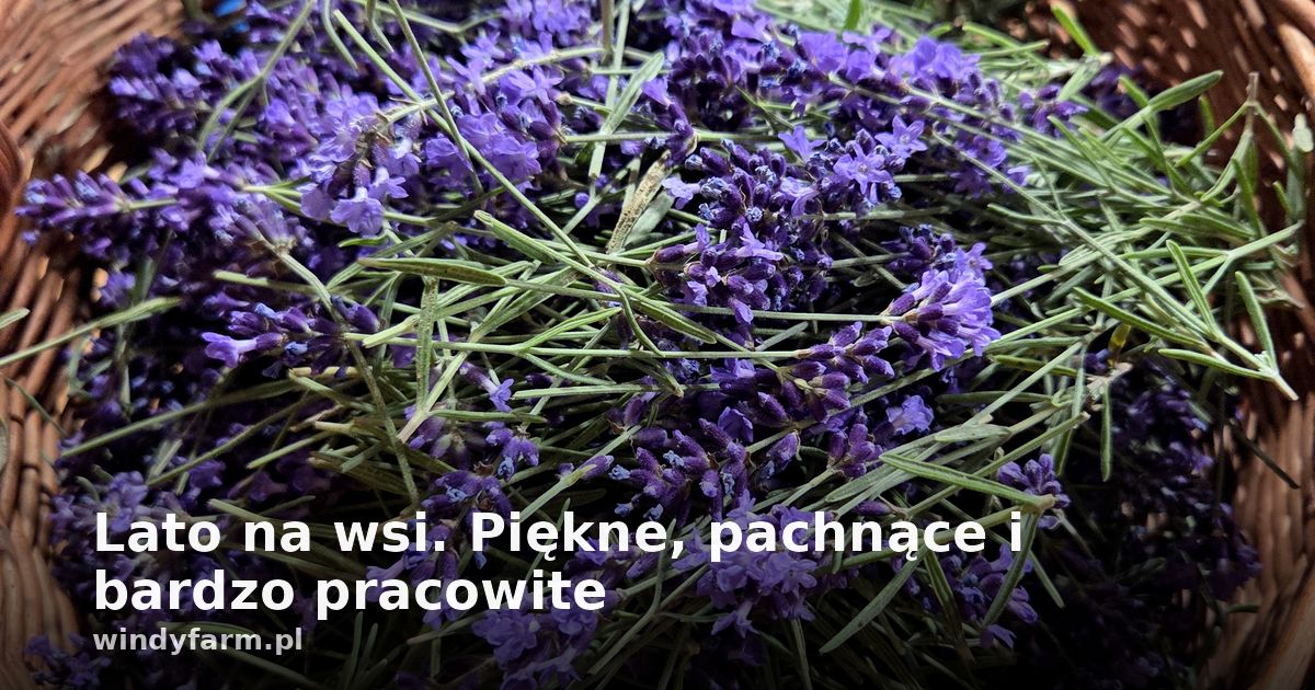 Lato na wsi. Piękne, pachnące i bardzo pracowite