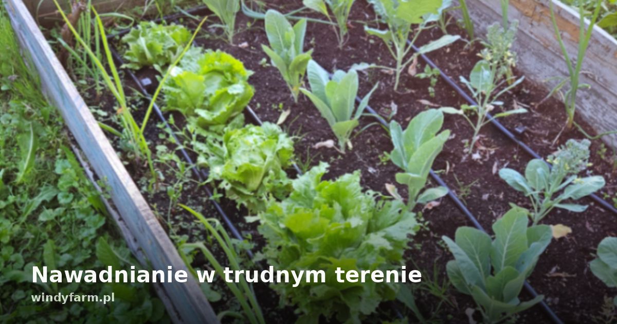 Nawadnianie w trudnym terenie