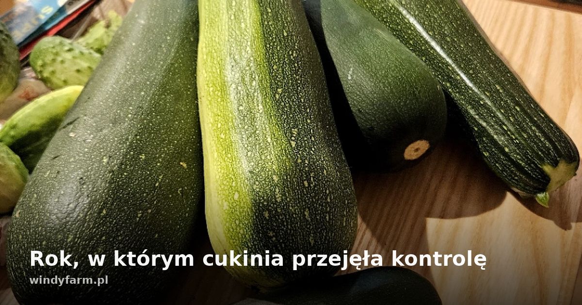 Rok, w którym cukinia przejęła kontrolę