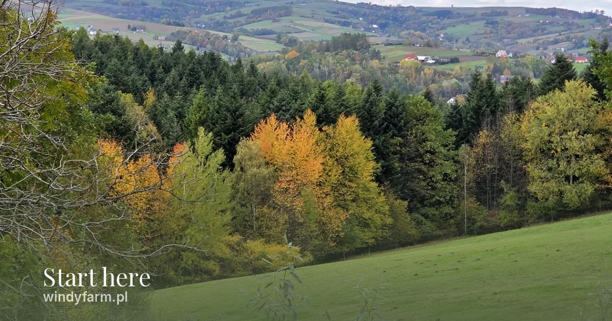Pogórze jesienią — widok z pola Windy Farm