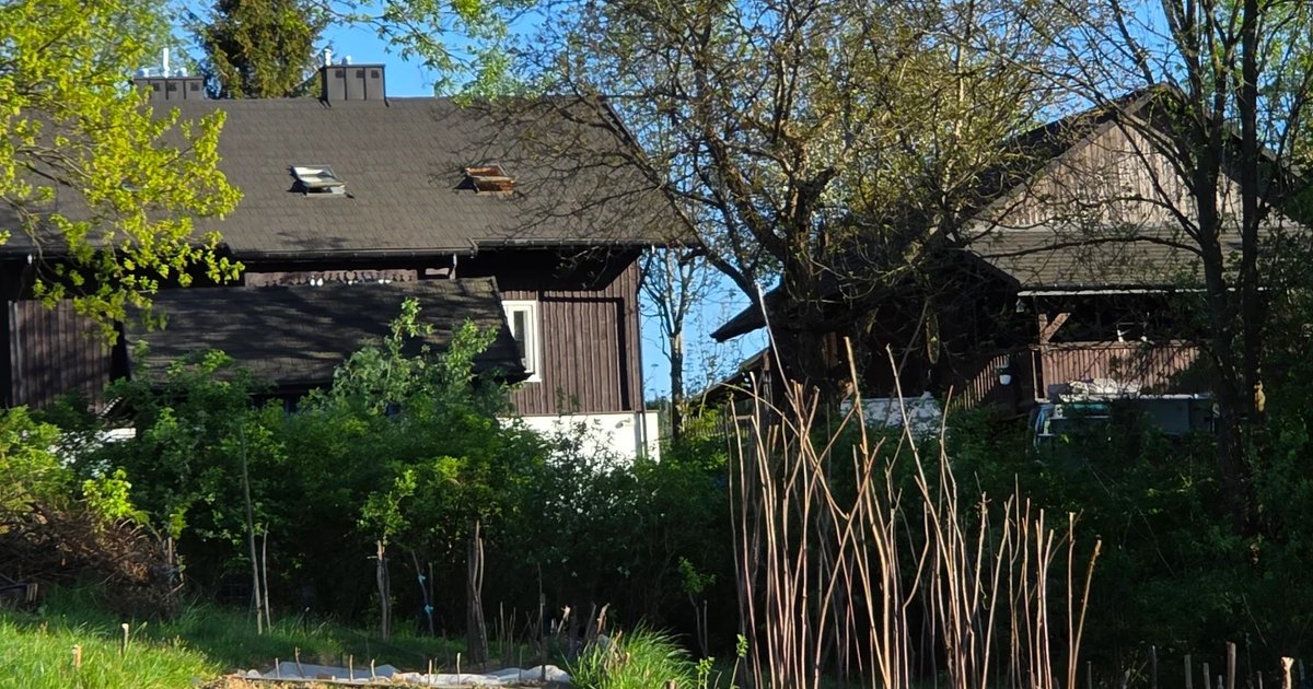 Warzywa, które uczą nas pokory