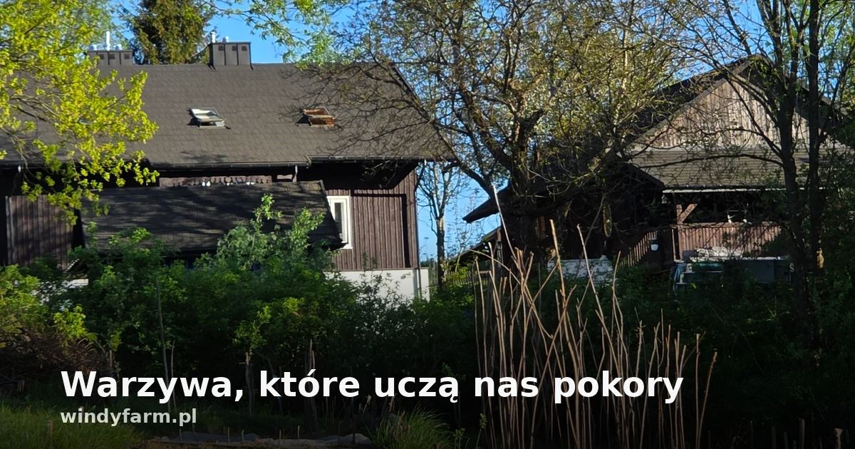 Warzywa, które uczą nas pokory