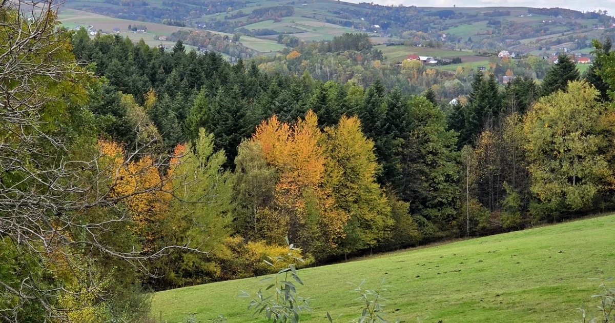 Pogórze jesienią — widok z pola Windy Farm