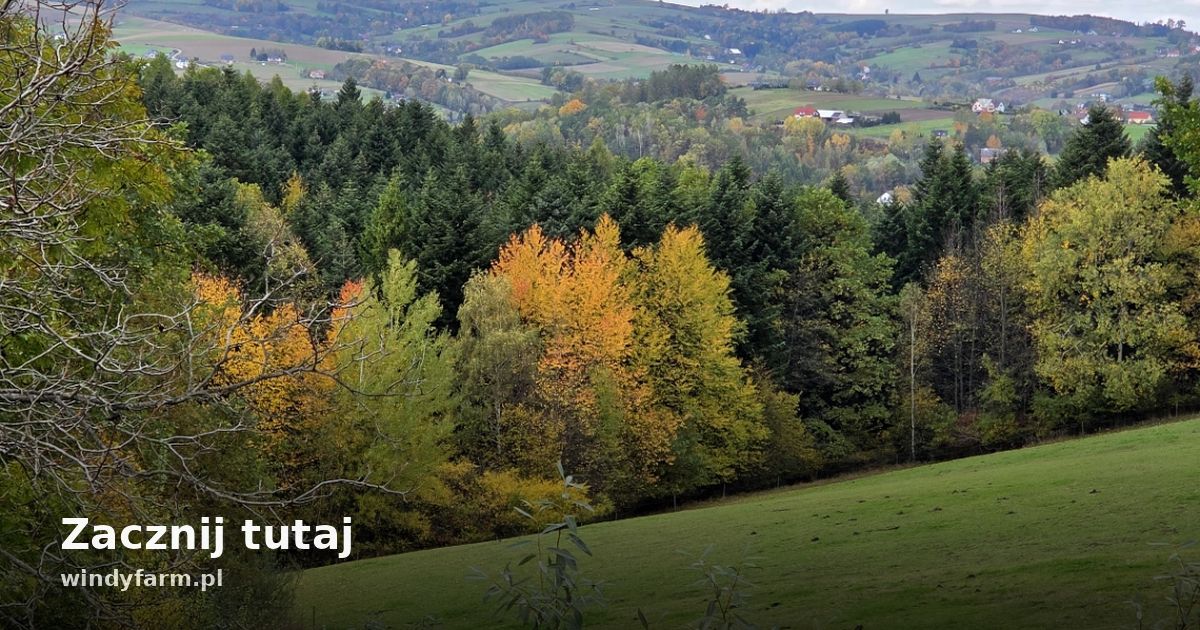 Zacznij tutaj