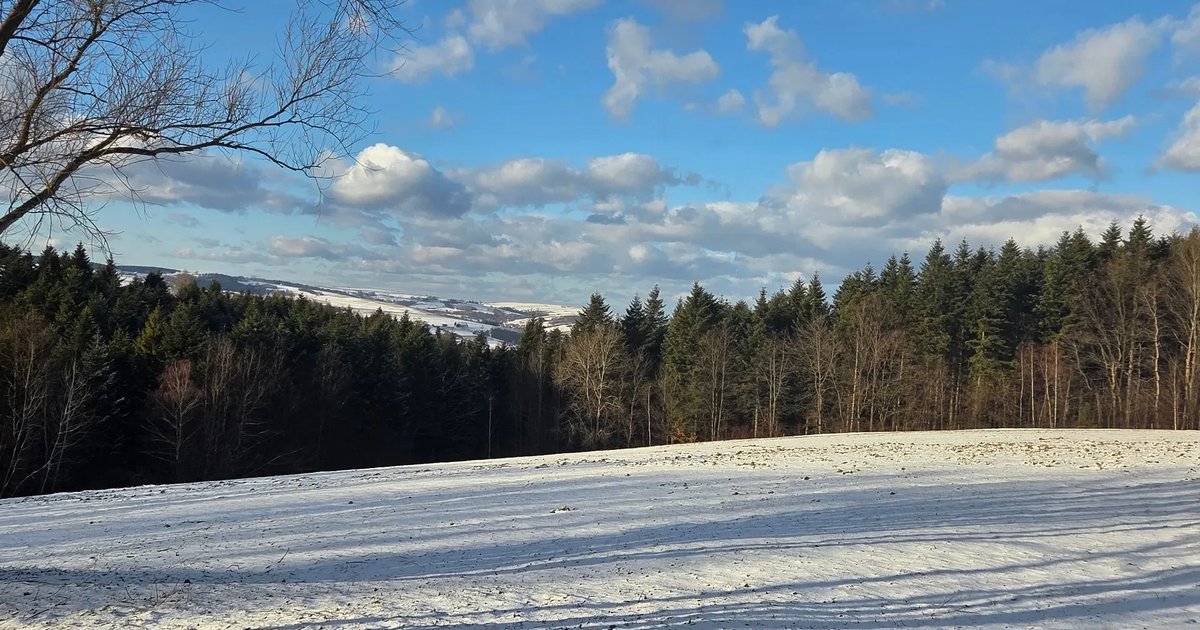 Zimowe dokarmianie ptaków. Mały gest, który robi dużą różnicę